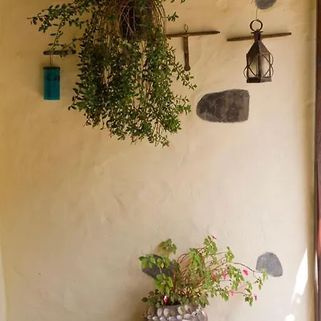 Casa El Laurel Moya (Gran Canaria)