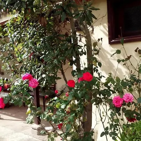 Casa El Laurel * Moya (Gran Canaria)